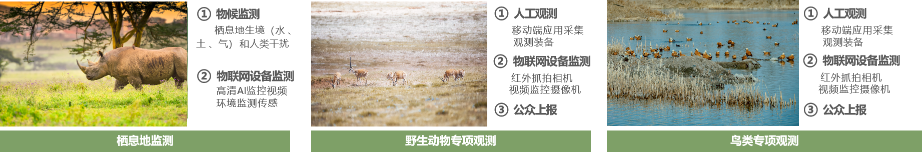 1768362950457994.png 图1.png